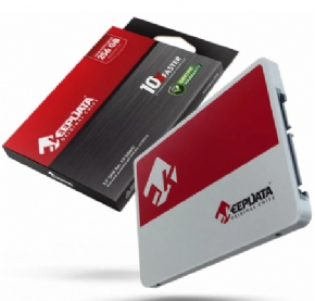 14999 - SSD 256GB KEEPDATA (KDS256G-L21)